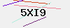验证码
